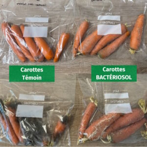 big bag 600kg bacteriosol concentrado