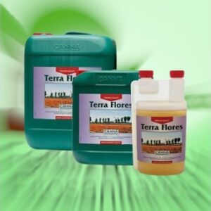 canna terra flores (floracion), 10l