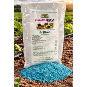 fertilizante foliar sugar express 4 10 40 lote 10 sacos| para engorde y brix