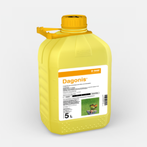 dagonis 58078063 es 1540x866