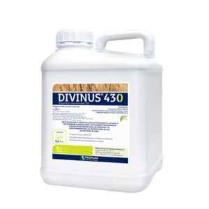 divinus 43