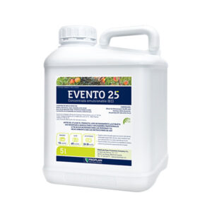 evento 25
