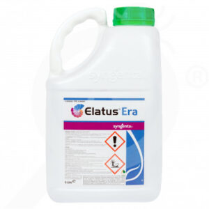 elatus era