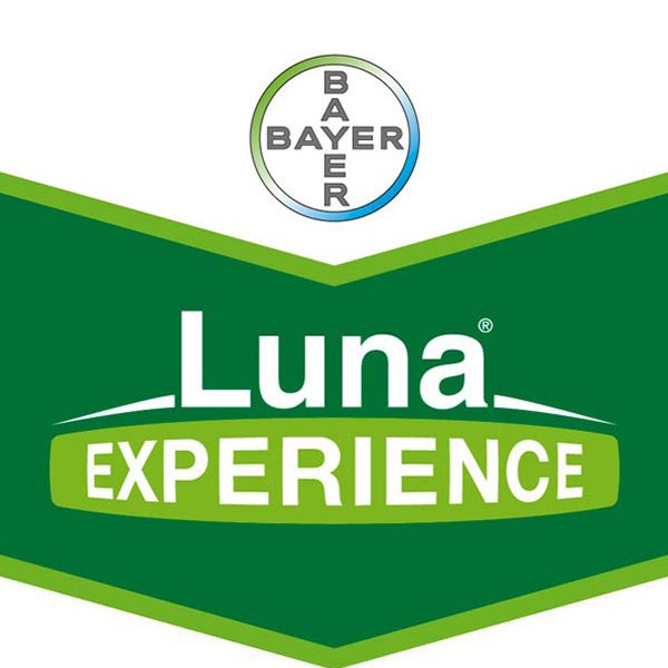 products luna experience products luna experience